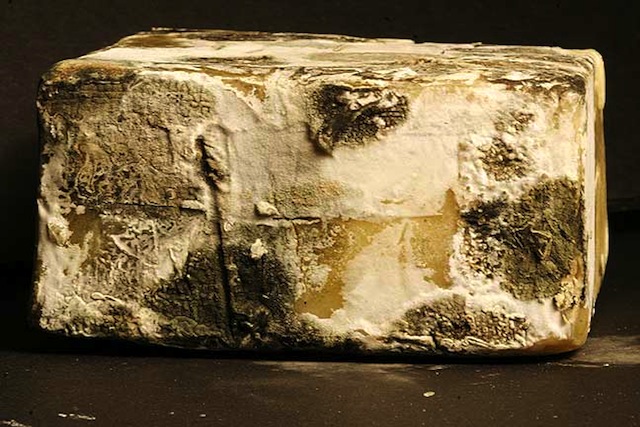 Formaggio gourmet con muffe