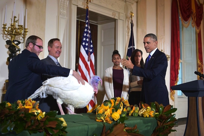 Malia e Sasha Obama con il tacchino