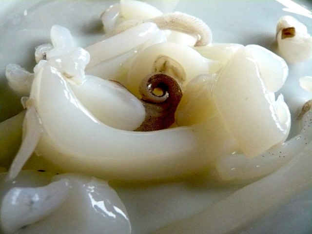 Crudo di seppia, piazzetta colonne brindisi