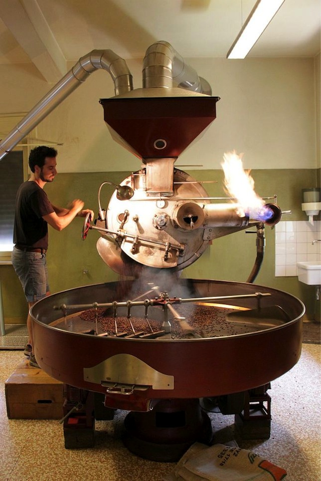 Torrefazione, caffè Giamaica, Gianni Frasi