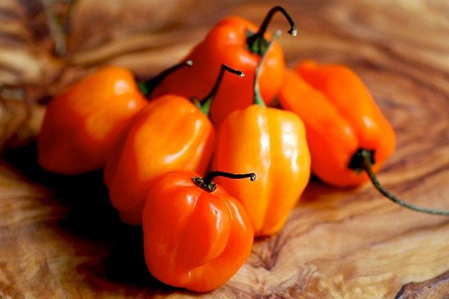 peperoncini piccanti, habanero orange