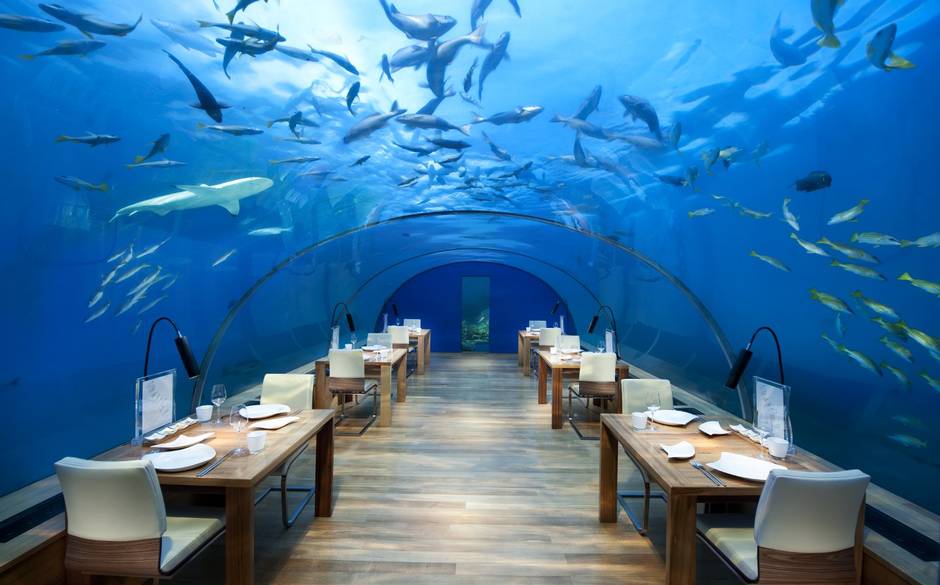 Ithaa Undersea, Maldive