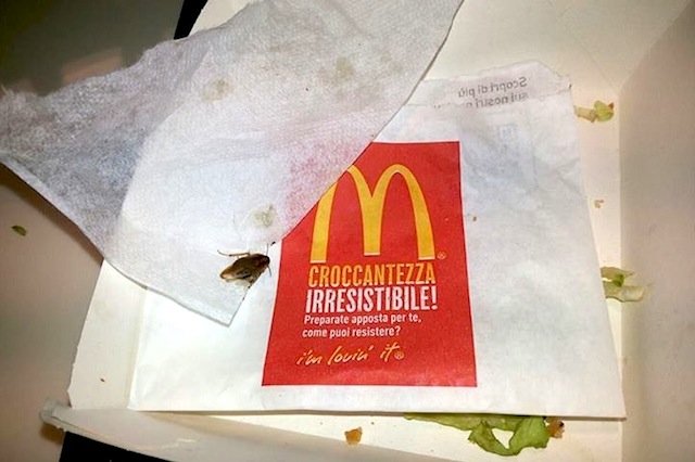 Didascalizzami questa: McBlatta, il nuovo panino di McDonald’s