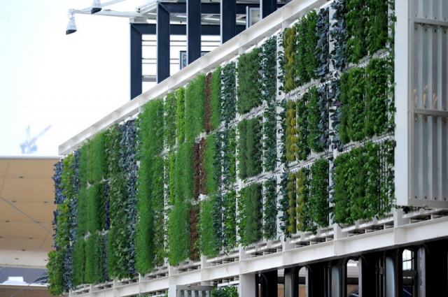 Expo 2015, padiglioni