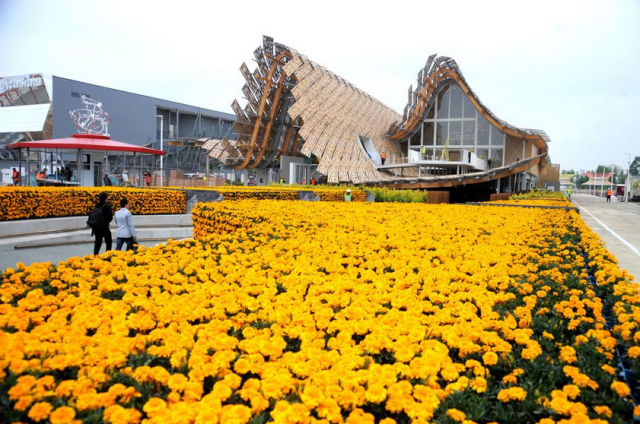 Expo 2015, padiglioni