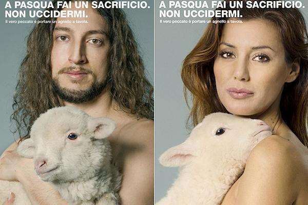 Pranzo di Pasqua: anziché gli animalisti aiutiamo i pastori