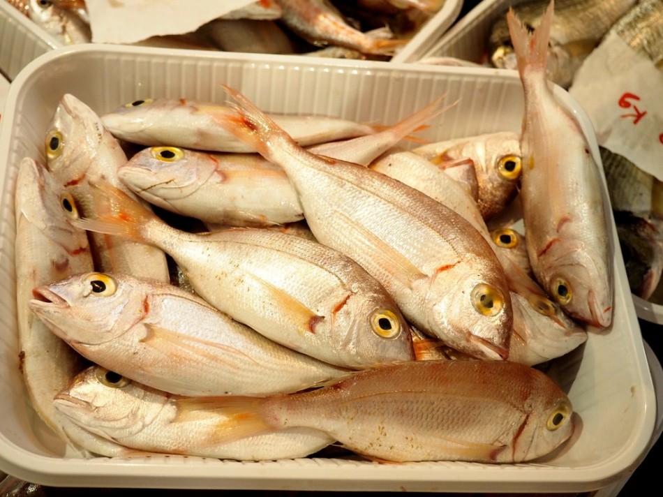 Slow Fish 2015, asta del pesce