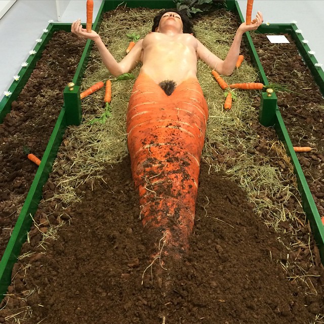 donna carota