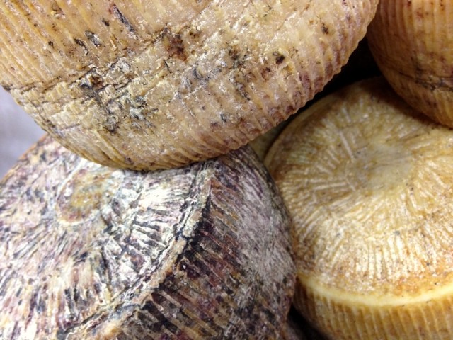 formaggi, basilicata, pecorino di filiano