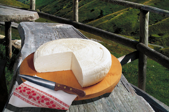formaggi, veneto, morlacco