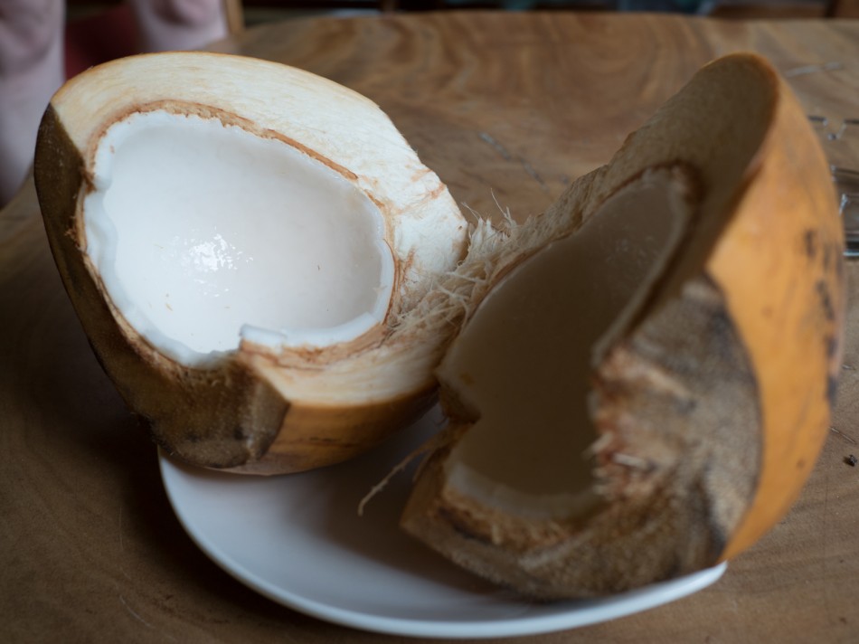 cocco aperto