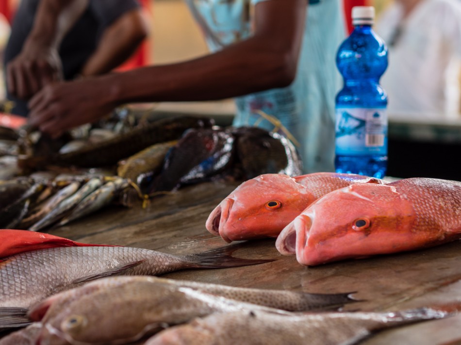 pesce al mercato