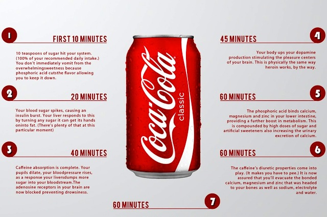 lattina di Coca Cola nel nostro corpo