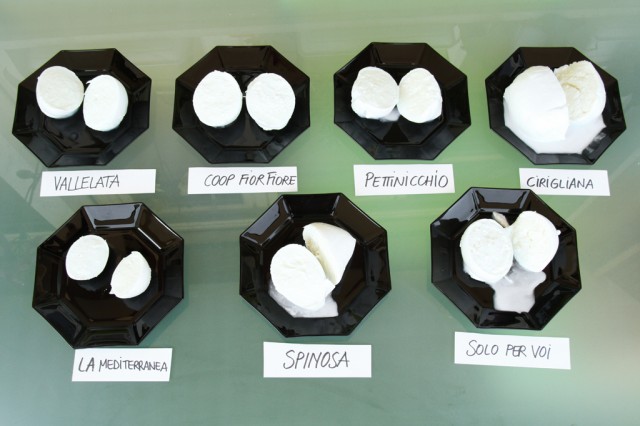 mozzarella di bufala, marche