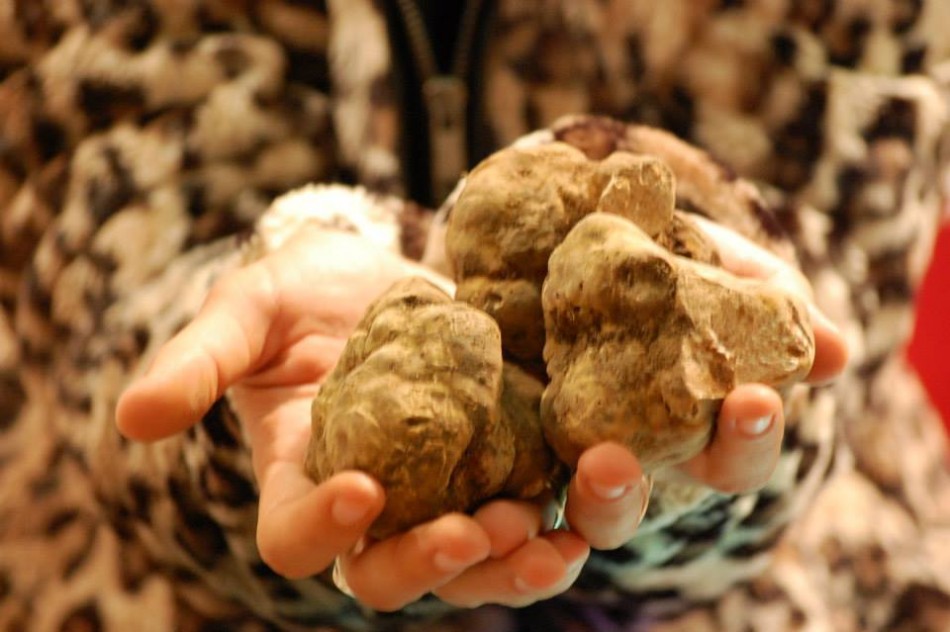 tartufi di Alba