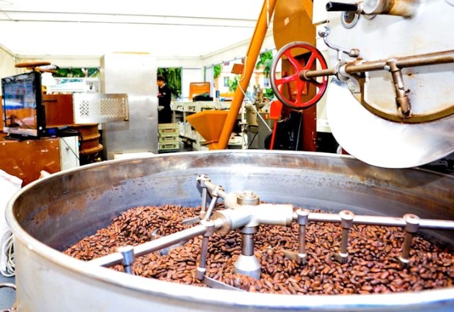 Eurochocolate, fave cacao