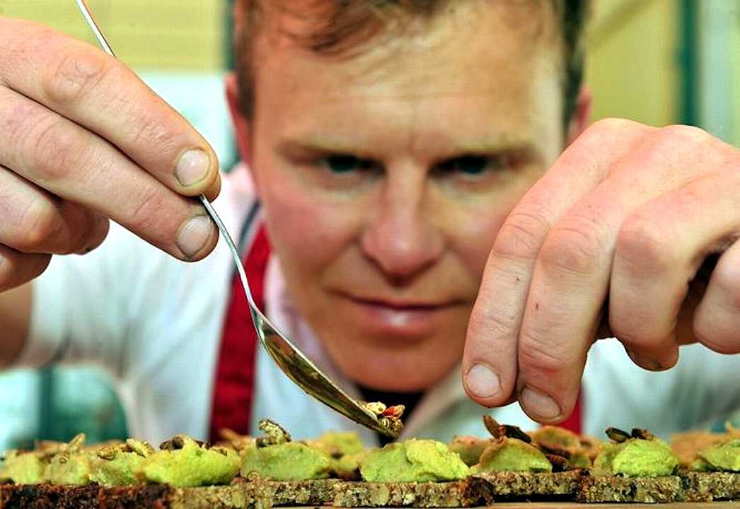 A Londra apre il primo ristorante solo insetti