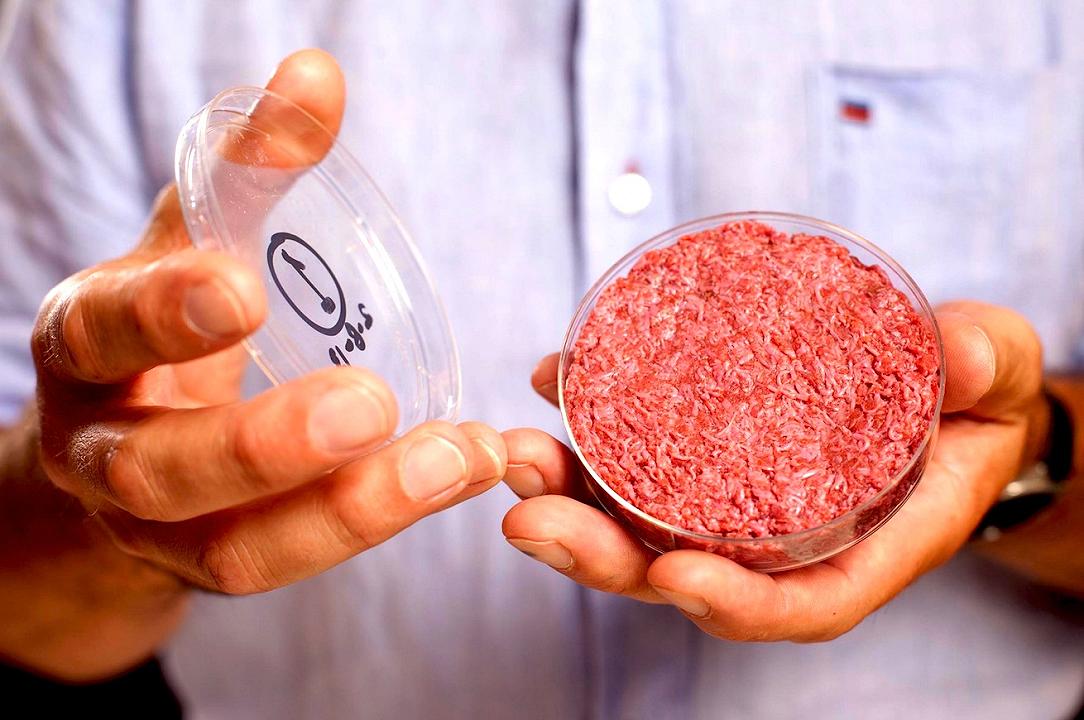 E’ arrivato il momento della carne sintetica?