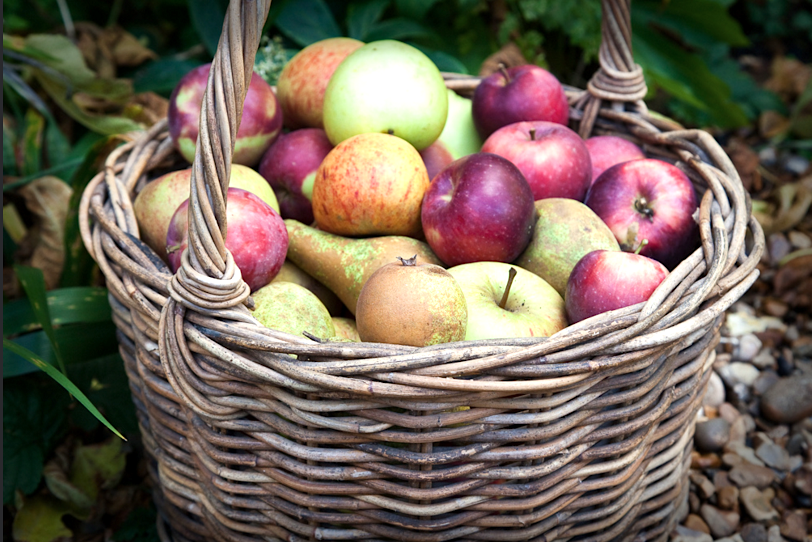 La frutta a Ottobre: 5 prove di una superiorità schiacciante
