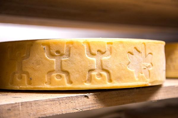 Conosciamo il Silter: formaggio italiano DOP numero 51