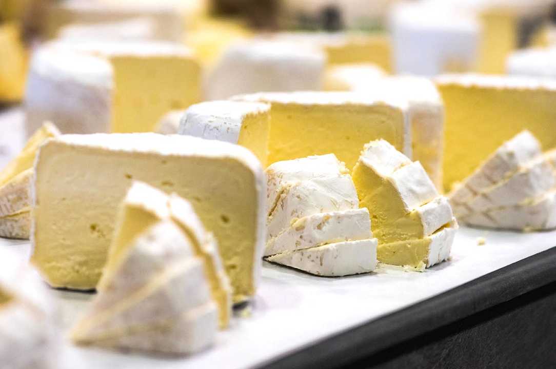 Conciati: i 5 più notevoli formaggi italiani