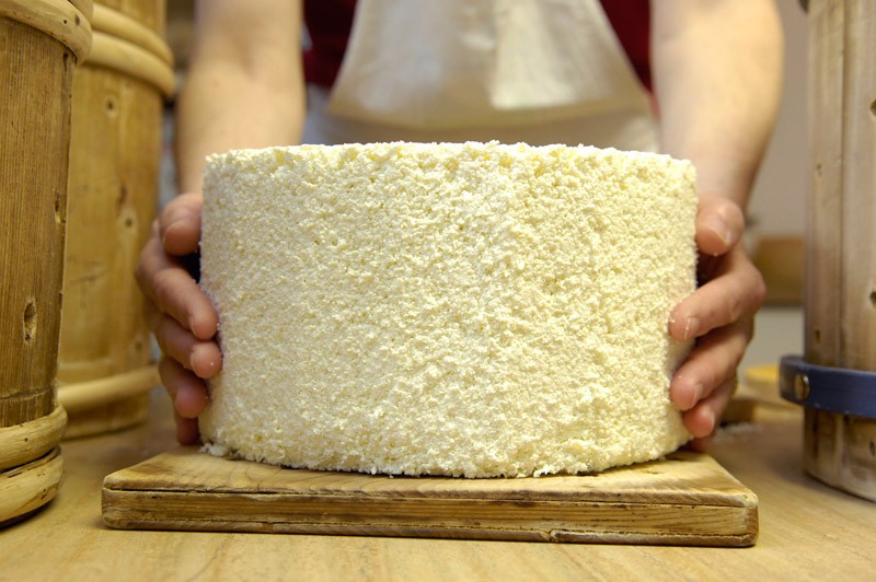 Graukase