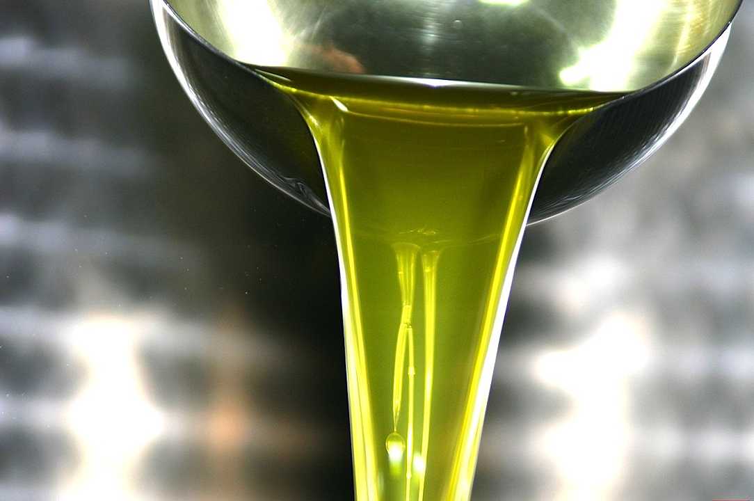 Fermo: maxi sequestro di olio di semi venduto come olio di oliva extra-vergine