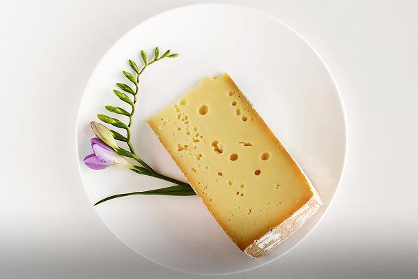 10 formaggi del Trentino Alto Adige che tutti dovrebbero conoscere