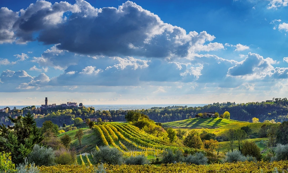 Treviso, azienda vinicola rimuove il nome Prosecco dalle bottiglie