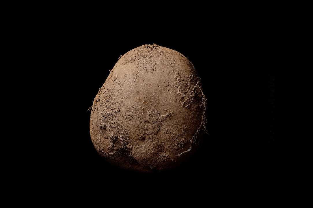 Foto: la patata da un milione di dollari