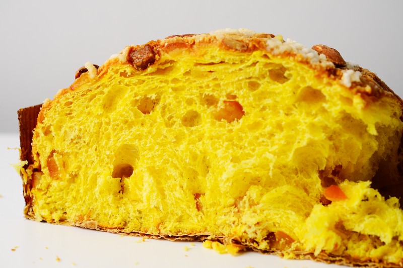 colomba fabbri 4