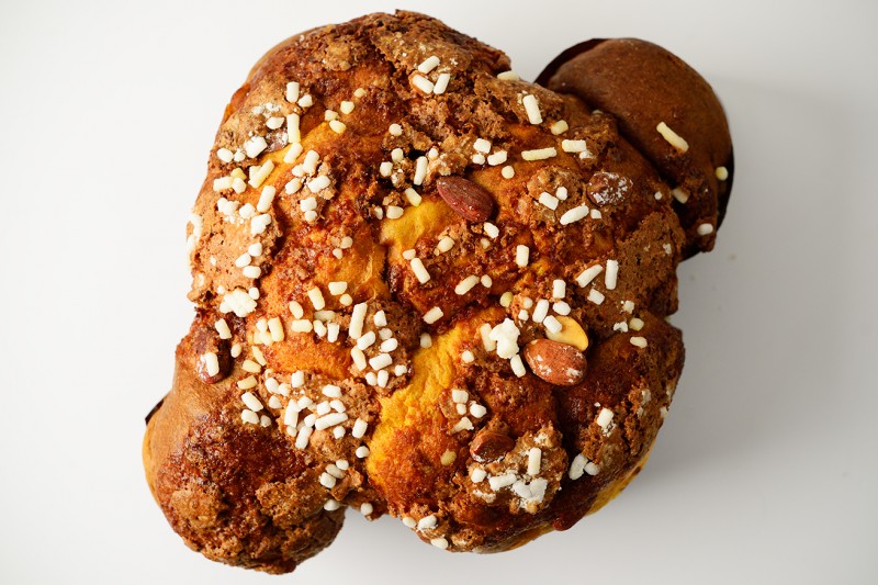colomba macellaro 1