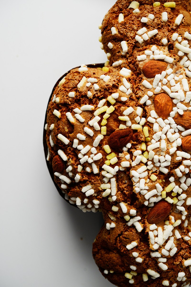 colomba pepe 2