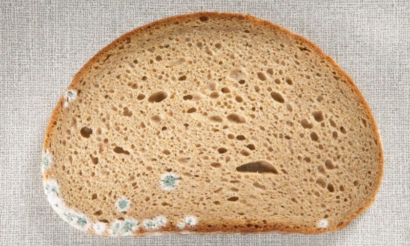 pane, spreco alimentare