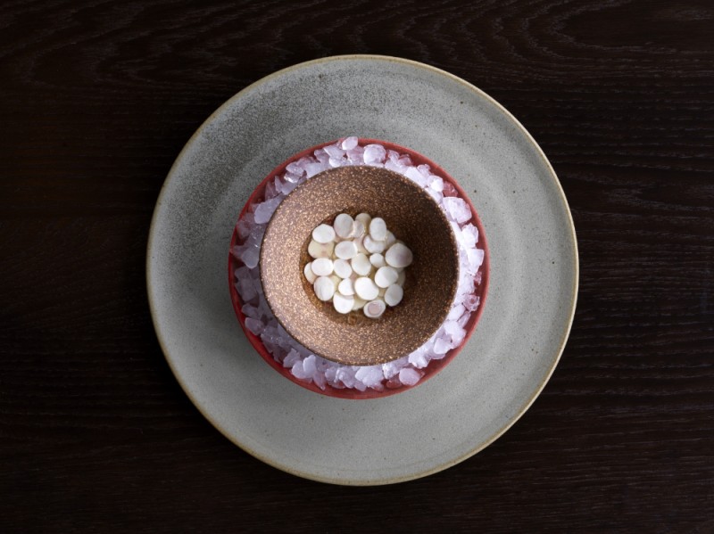 noma, australia1