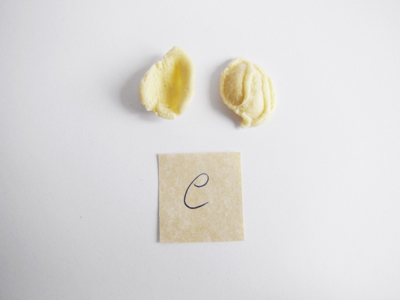 orecchiette coop