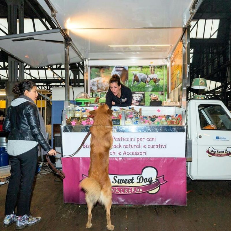 Dog Sweet dog, food truck per cani