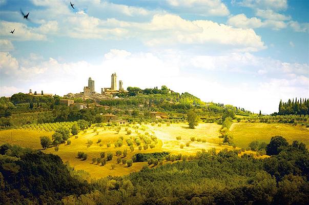 Vernaccia di San Gimignano: il primo vino Doc italiano ha 50 anni