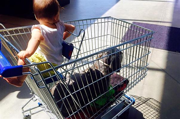 Metteresti cane e figlia nel carrello del supermercato come fa Marco Bianchi?