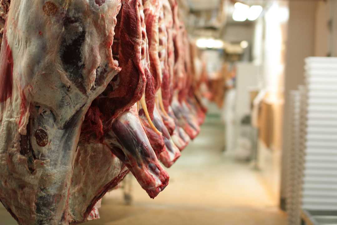 Coronavirus: in Brasile 1000 contagi in impianti di lavorazione della carne