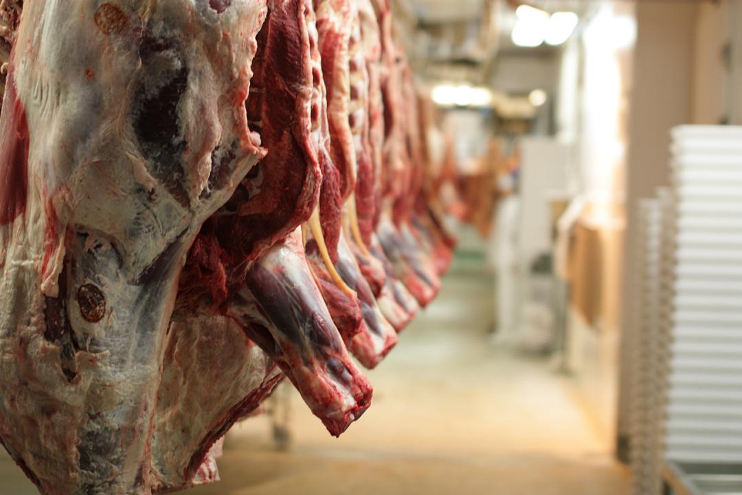 Coronavirus: l’industria della carne diventa nuovo focolaio