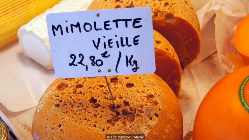 EB6DP3 Mimolette is a cheese traditionally produced around the city of Lille France. In France it is also known as Boule de Lille