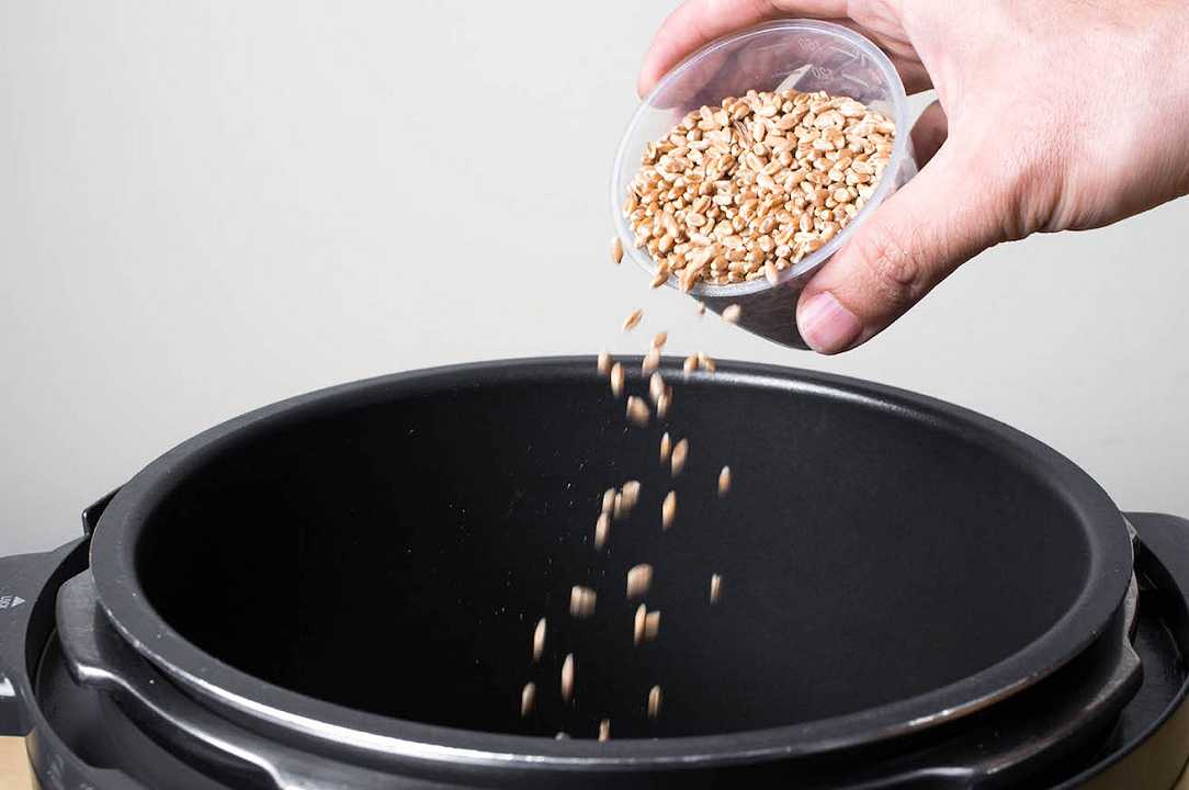 Report scopre la frode del grano biologico: che bio ce la mandi buona