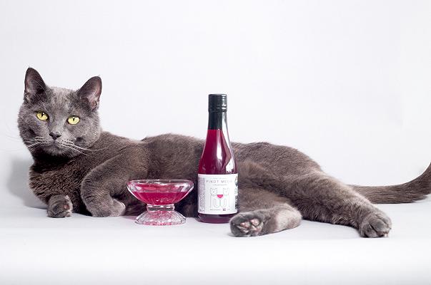 Il vino da bere insieme al tuo gatto