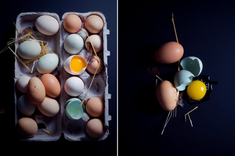 free range