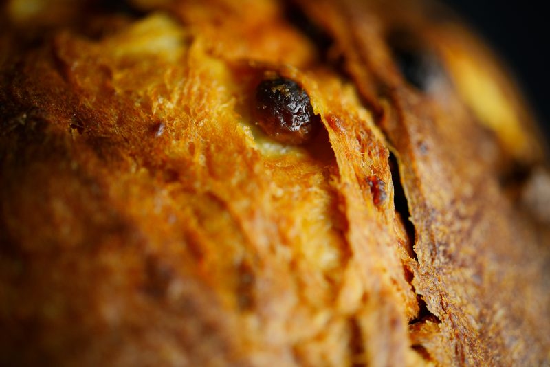 panettone-grippa-2