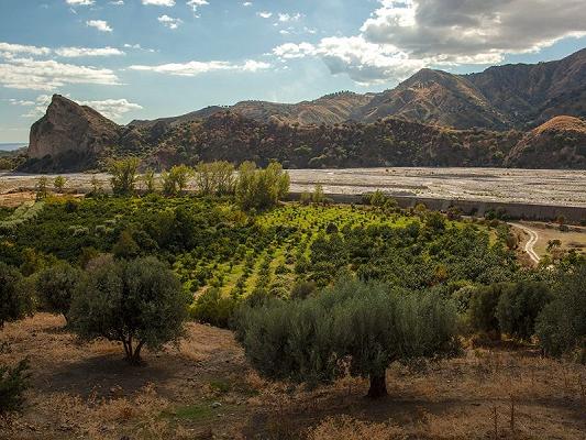 calabria campagna