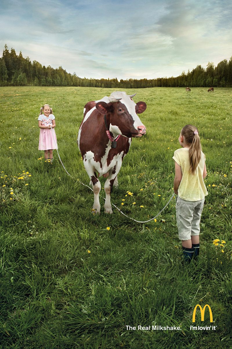 mcdonalds-mucche