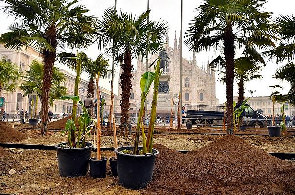 Starbucks si fa più pubblicità con palme e banani che con mille spot in tv