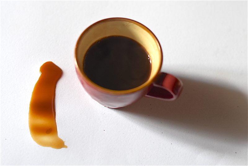 prova d'assaggio caffè; alce nero